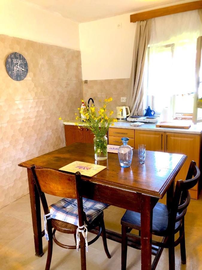 Safar Residence Hrachoviste エクステリア 写真